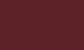 RAL 3005 - Wine red 